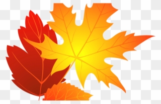 Flower Clipart Transparent Background - Autumn Leaves Clipart Png