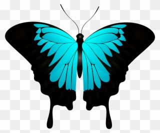 Blue Butterfly Decorative Transparent Image Clipart
