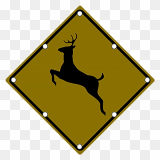 Ts40 Flashing Deer Crossing Sign Night - Rainbow Springs Kiwi Wildlife Park Clipart