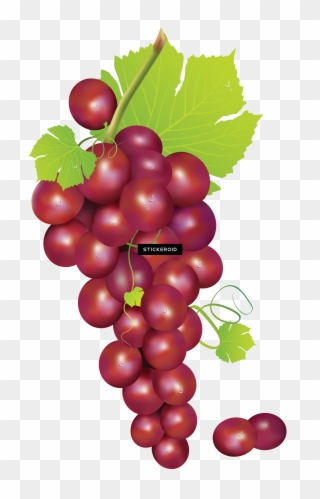 Red Grape With Leaves - Grape Fruit Anime Clipart