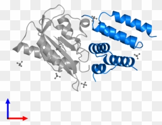 <div Class='caption-body'>pdb Entry 5efw Contains 2 - Graphic Design Clipart