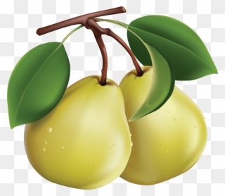 Free Png Pear Png Images Transparent - Clipart Pears