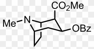 Structure Of Cocaine - Carvone Epoxidation Product Clipart