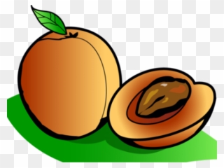 Apricot Clipart - Png Download