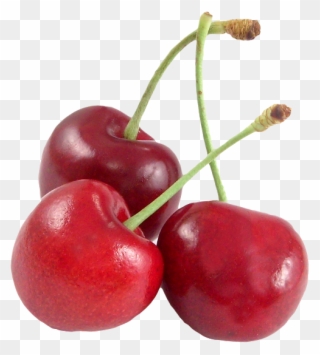 Cherry Clipart Transparent Background - Cherry Transparent - Png Download