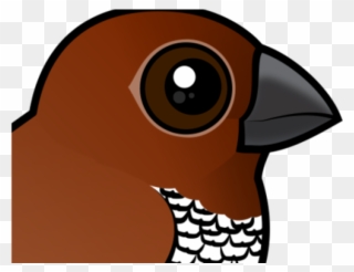 Finch Clipart Orange Bird - Png Download