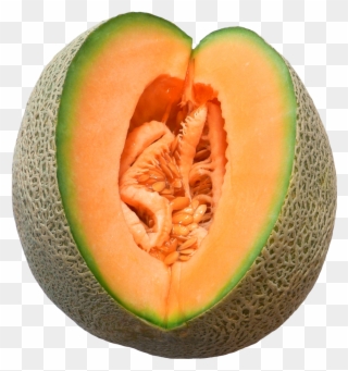 Melon Clipart Kharbuja - Nombre Cientifico Del Melon - Png Download