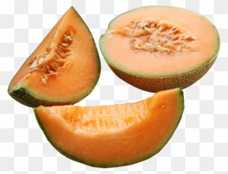 Cantaloupe Melon Png Clipart