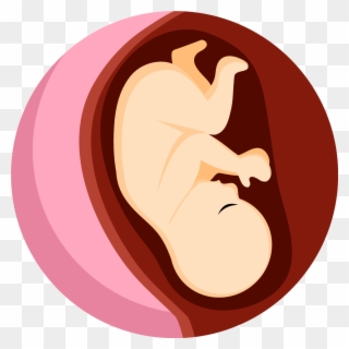 Obstetrics Clipart