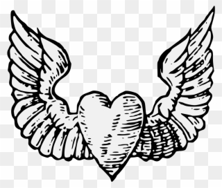 Winged Heart - ภาพ วาด หัวใจ ติด ปีก Clipart