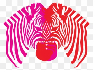 Double Zebra Hp/r - Zebra Head Coloring Pages Clipart