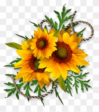 Cheyokota Digital Scraps - Bouquet Of Sunflowers Clip Art - Png Download