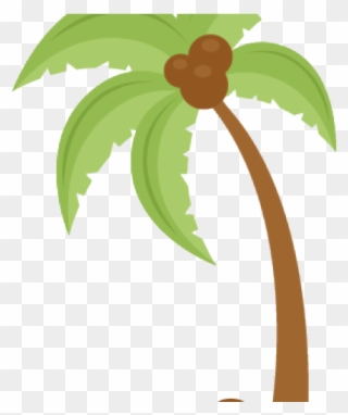 Cute Coconut Tree Clipart - Png Download