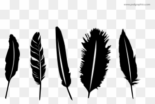Feathers Silhouette At Getdrawings - Silhouette Feather Png Clipart