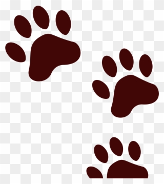 Bear Shop Of Library Buy Clip Art - Svg Paw Prints - Png Download