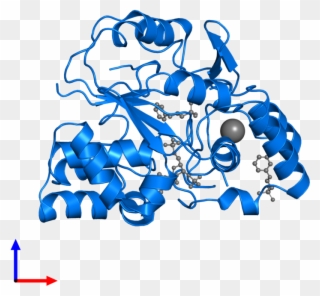 <div Class='caption-body'>pdb Entry 1q1q Contains 1 - Protein Data Bank Clipart