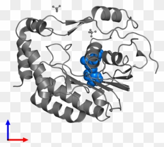<div Class='caption-body'>pdb Entry 5m5b Contains 1 - Illustration Clipart