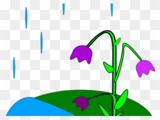 Animated Spring Clipart - Raining Animation - Png Download
