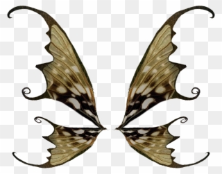 Скачать Архив - Крылья Бабочки Клипарт Clipart