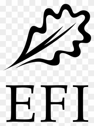 Efi-logo Black - European Forest Institute Clipart