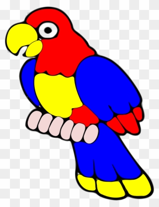 Parrot, Bird, Tropical, Exotic, Red, Yellow, Blue - รูปภาพ นก แก้ว การ์ตูน Clipart