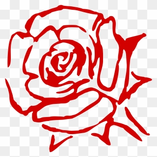 Rose Family Flower China Rose Garden Roses Cabbage - Art Line Red Rose Clipart