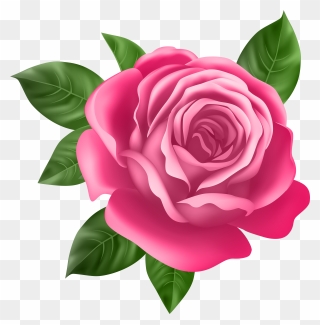 Pink Rose Transparent Png Clip Art - Best Rose Flower