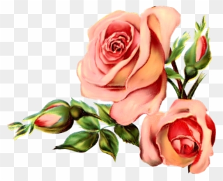 Vintage Rose March - Vintage Flower Graphic Png Clipart