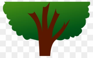Free Tree Vector Png, Download Free Clip Art, Free - Tree Plants Clip Art Transparent Png