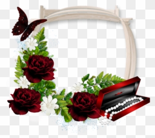 Dark Red Roses, Birthday Frames, - Hareketli Bayram Tebrik Kartları Clipart