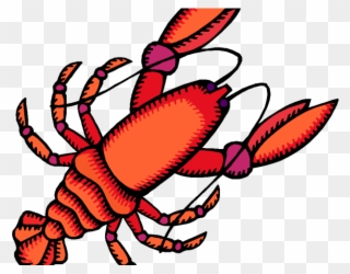 Crayfish Clipart Yabbie - Crayfish Acquired Trait - Png Download