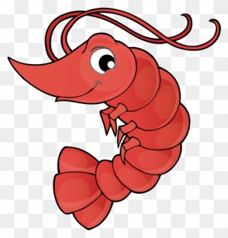 Vector Transparent Library Crawfish Clipart Lobster - Shrimp Drawing Cartoon - Png Download