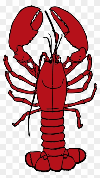 Clip Library Library Crawfish Clipart Boil - Lobster Clipart - Png Download