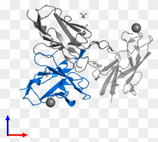 <div Class='caption-body'>pdb Entry 5kve Contains 1 - Illustration Clipart