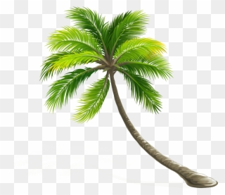 Arecaceae Coconut Leaf Tree Hd Image Free Png Clipart - Tree Images Png Hd Transparent Png