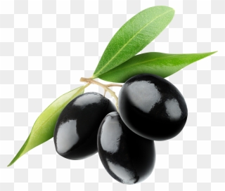 Olive Clipart Transparent Image Free Download - Transparent Olives Png