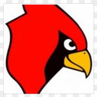 Cardinal Clipart Volleyball - Cardinal Stritch High School - Png Download