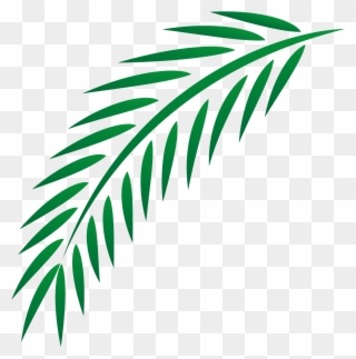 Euclidean Easter Leaves Transprent - Palm Branch Clipart