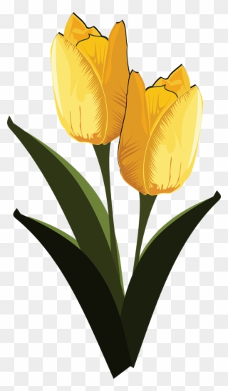 Clip Art Flor Flora Flower Png Image - Tulip Transparent Png