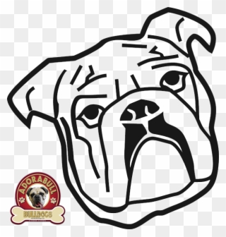 Adorabull Bulldogs Adorebulldogs Twitter Png English - Ok Google Foto Kepala Anjing Bulldog Kartun Clipart