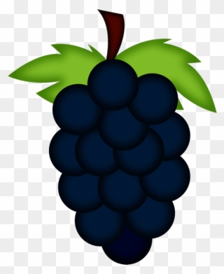○‿✿⁀grapes‿✿⁀○ Fruta, Preescolar, Fondos, Decoupage - Seedless Fruit Clipart