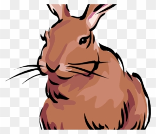 Rabbit Clipart Banner - Black Tailed Jackrabbit Animated - Png Download