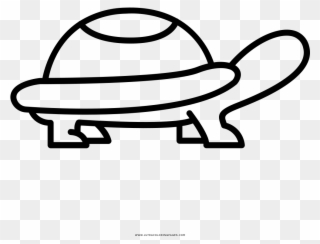 Tortoise Coloring Page With Ultra Pages - Drawing Clipart