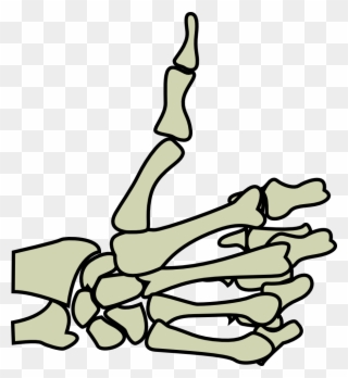 You Need To Login To View This Link Hopefully This - Skeleton Hand Thumbs Up Png Clipart