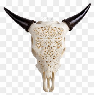 Clip Art Carved Cow Skull - Tribal Animal Skull Engravings - Png Download