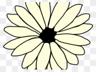 Daisy Clipart Books - Single Flower Coloring Flower - Png Download