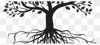 23 Jan 2017 - Family Tree With Roots Png Clipart