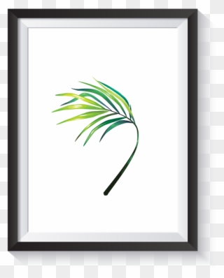 Scandi Illustrated Banana Palm Frond No - Breast Clipart
