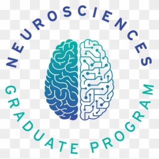 Our Outreach Program Brings Graduate Students From - Ucsd Neuroscience Logo Clipart