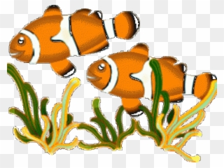 Marine Fish Clipart One Fish - Fishes Clipart - Png Download